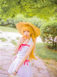 Star's Delay to December 22, Coser Hoshilly BCY Collection 9(126)
